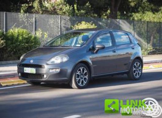 Punto Evo