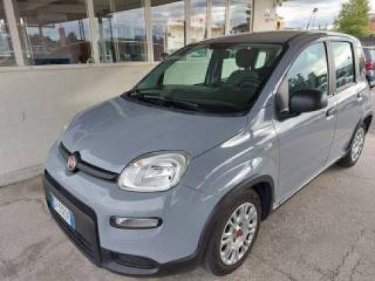 usato FIAT Panda