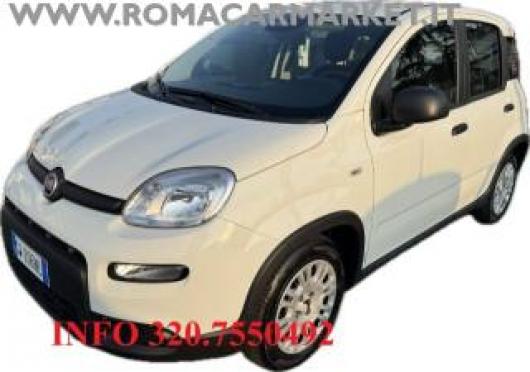 usato FIAT Panda