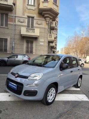 usato FIAT Panda