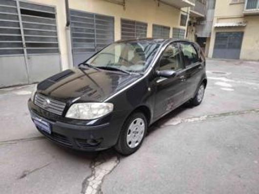 usato FIAT Punto
