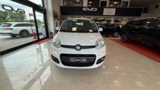 usato FIAT Panda