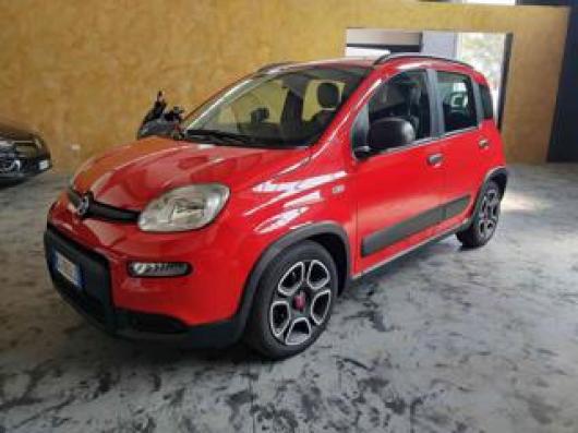 Panda