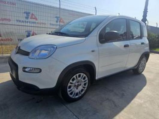 usato FIAT Panda
