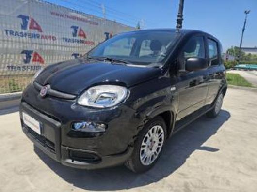 usato FIAT Panda