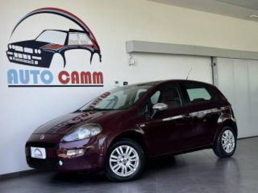 usato FIAT Punto