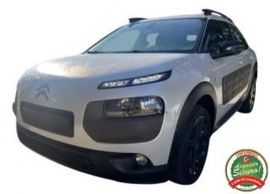 C4 Cactus