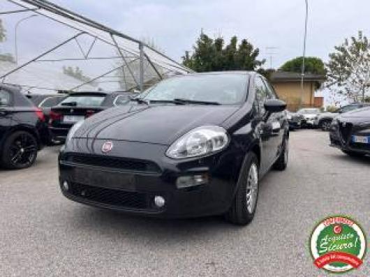 usato FIAT Punto