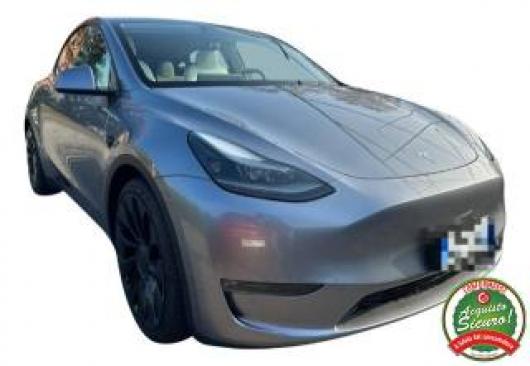 usato TESLA Model Y