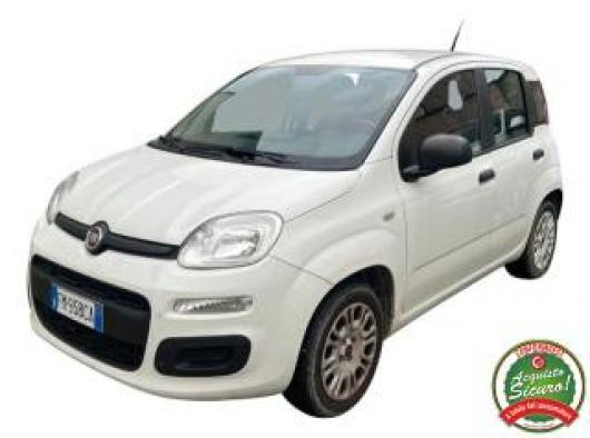 usato FIAT Panda