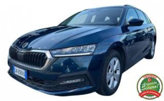 usato SKODA Octavia