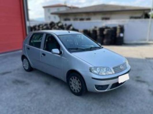usato FIAT Punto