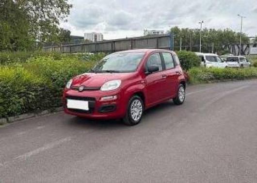 usato FIAT Panda