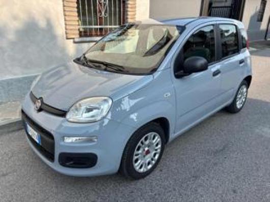 usato FIAT Panda