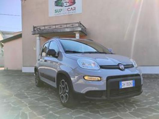 usato FIAT Panda