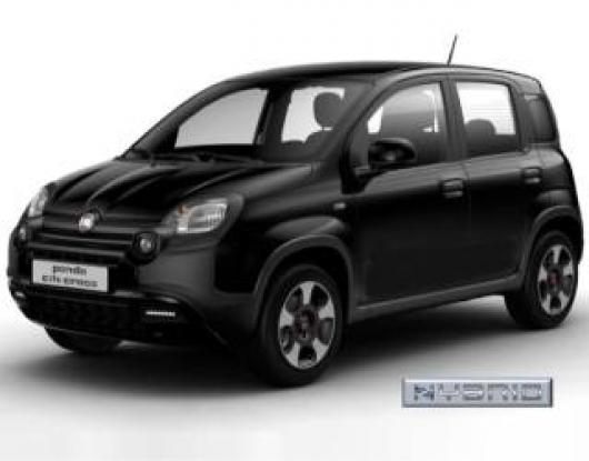 usato FIAT Panda