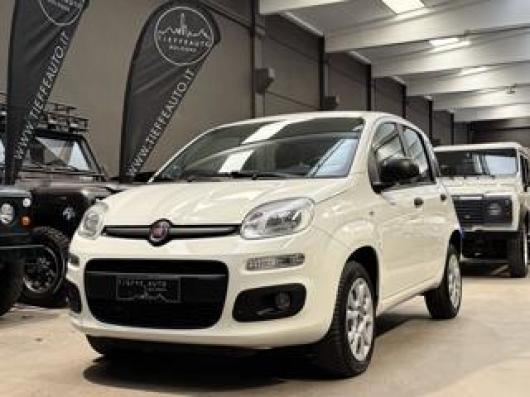 usato FIAT Panda