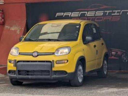 usato FIAT Panda