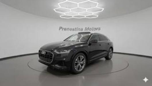 usato AUDI Q8