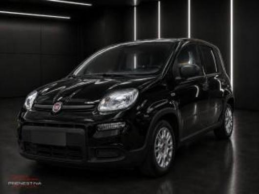usato FIAT Panda