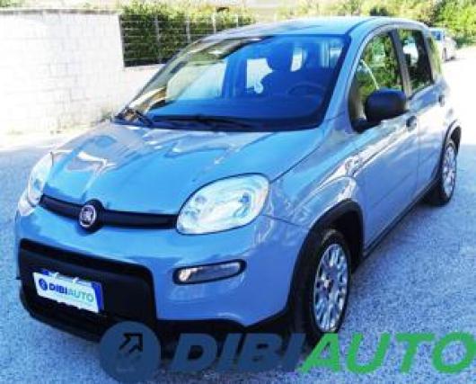 usato FIAT Panda