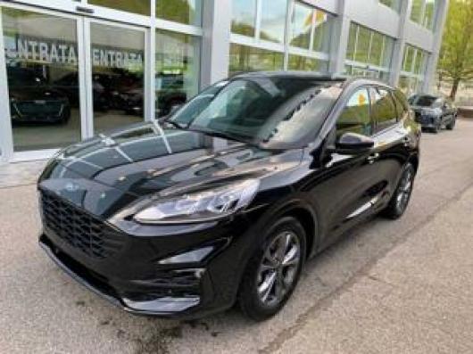 Kuga