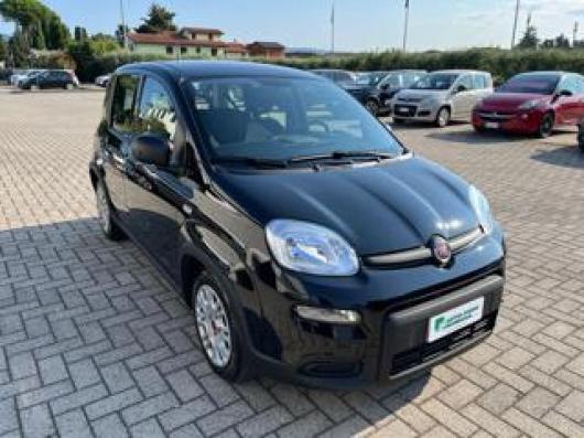 usato FIAT Panda