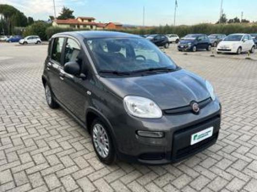 usato FIAT Panda