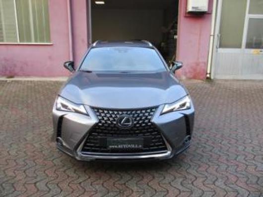 usato LEXUS UX 250h