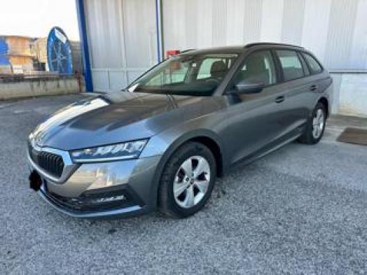usato SKODA Octavia