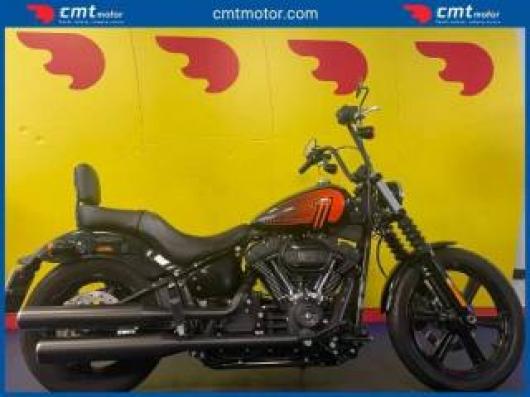 usato HARLEY DAVIDSON Softail