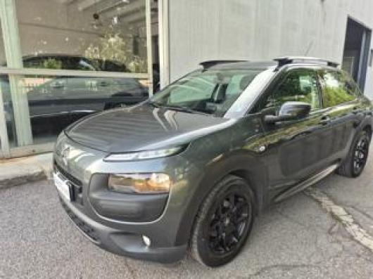C4 Cactus