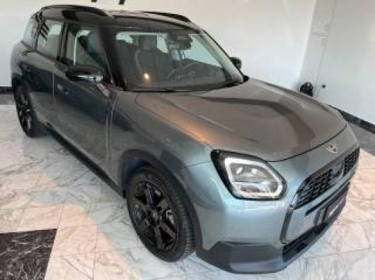 usato MINI Countryman