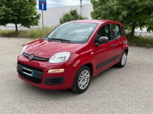 usato FIAT Panda