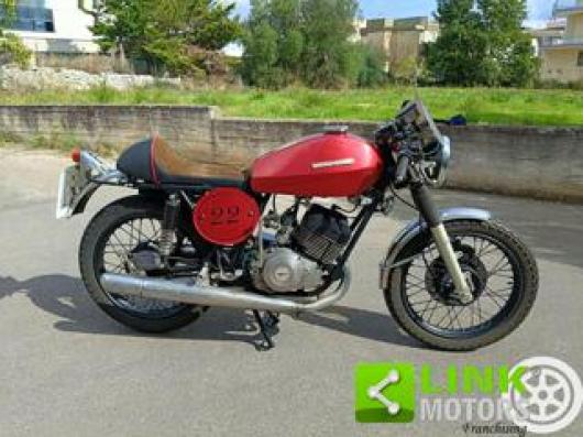 TS 250