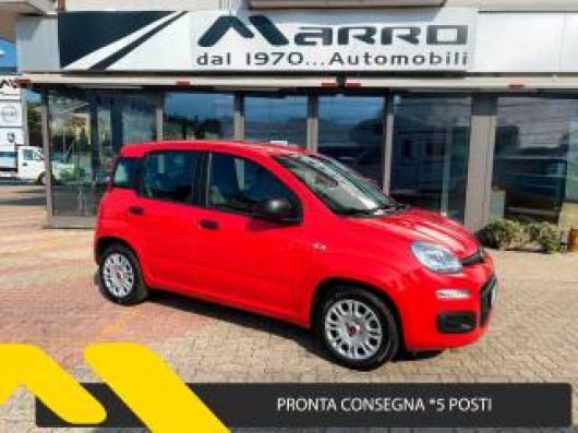 usato FIAT Panda