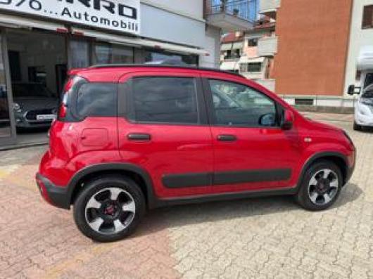 usato FIAT Panda