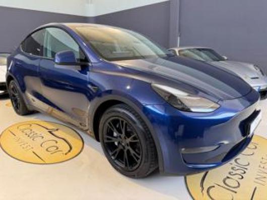 usato TESLA Model Y