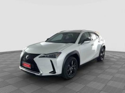 usato LEXUS Altro