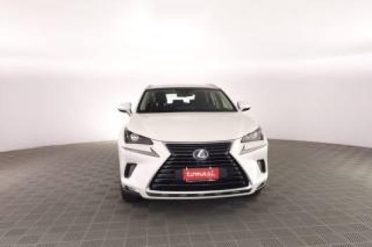 usato LEXUS Altro