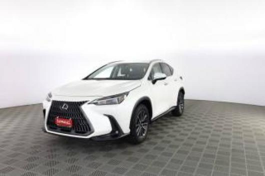 Km 0 LEXUS Altro