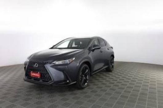 usato LEXUS Altro