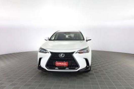 usato LEXUS Altro