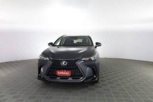 usato LEXUS Altro