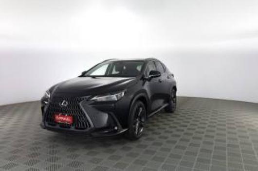 usato LEXUS Altro