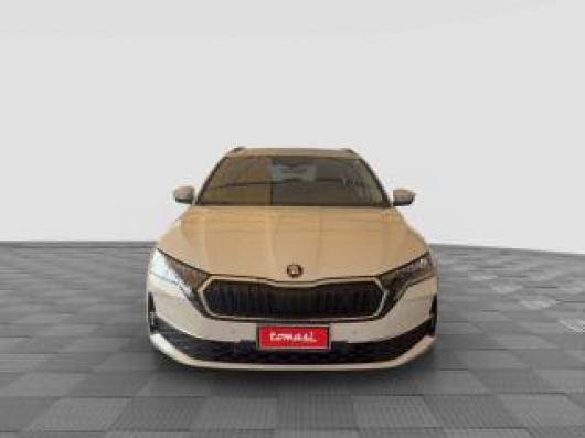 usato SKODA Octavia