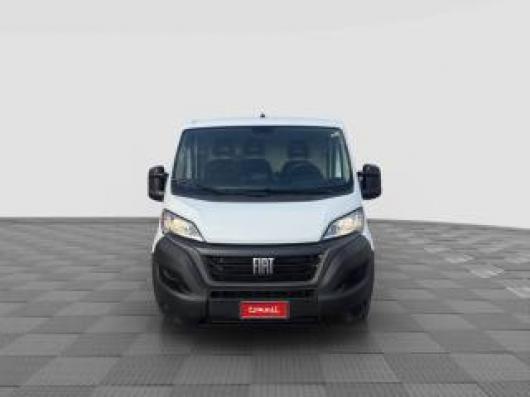 usato FIAT Ducato