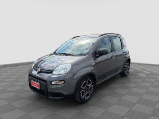 usato FIAT Panda