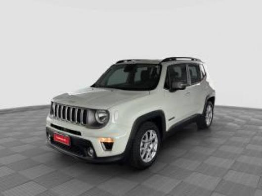 usato JEEP Renegade