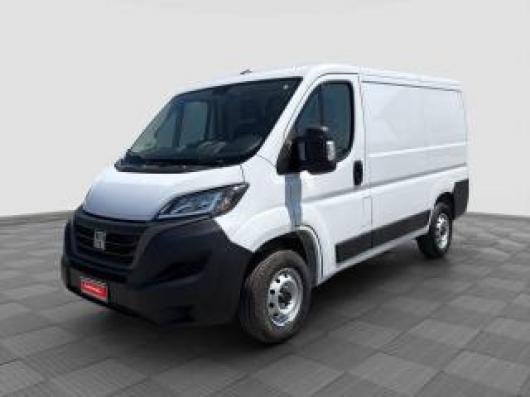 usato FIAT Ducato